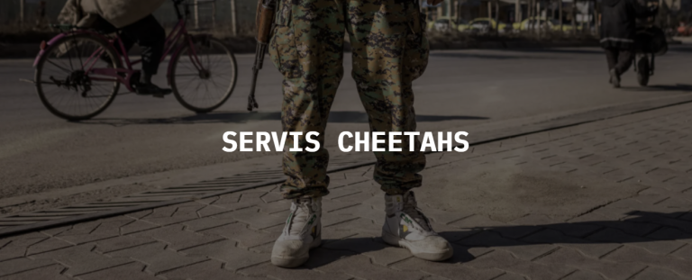 Iconic Servis Cheetahs Sneakers